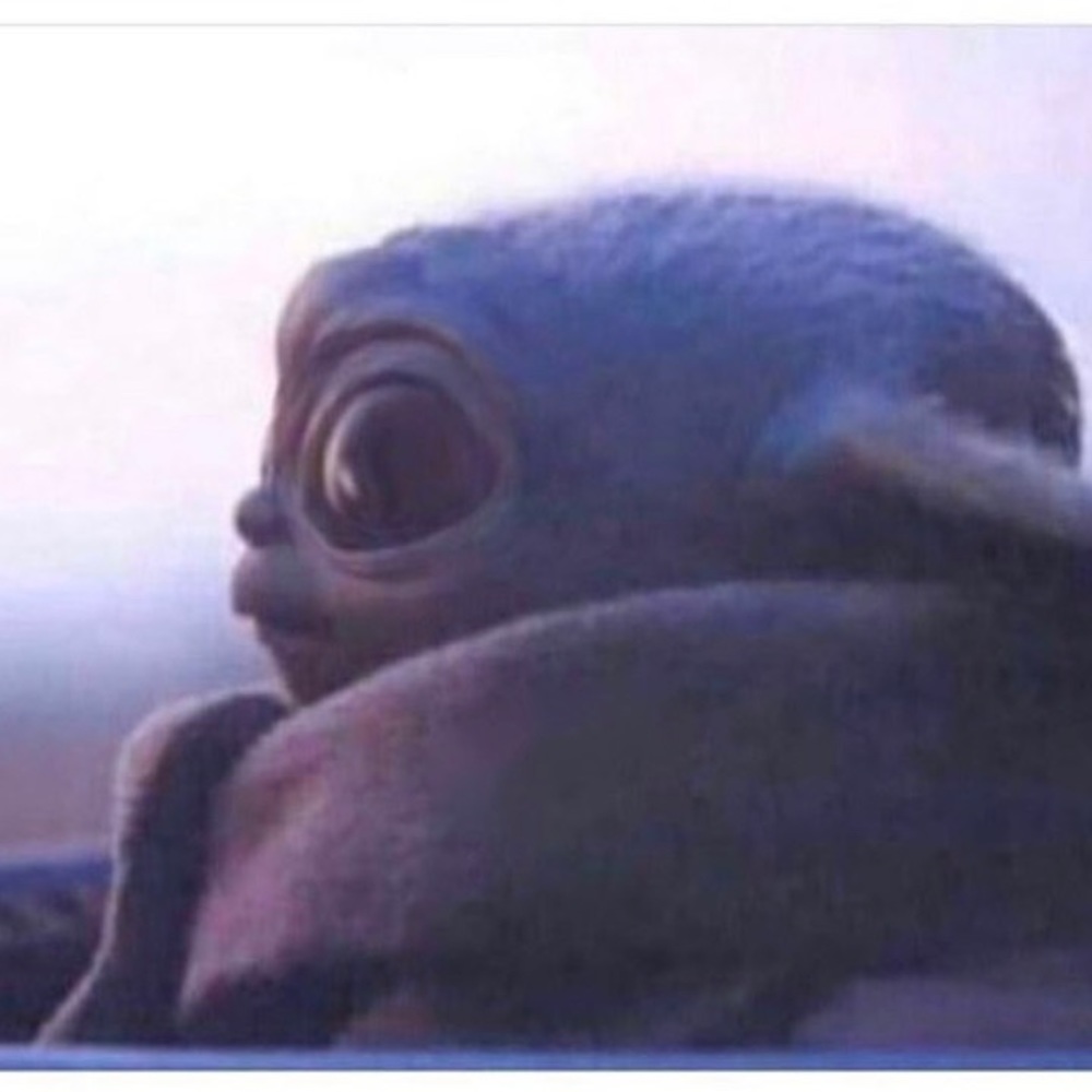 Meet your Posher, Adam